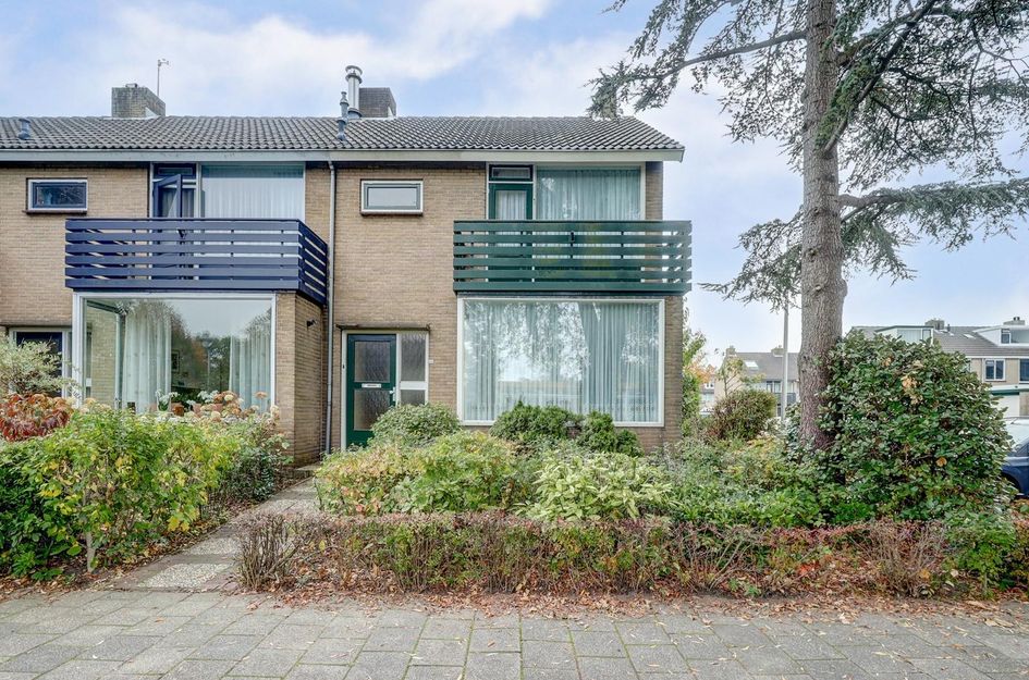 van Alkemadestraat 40