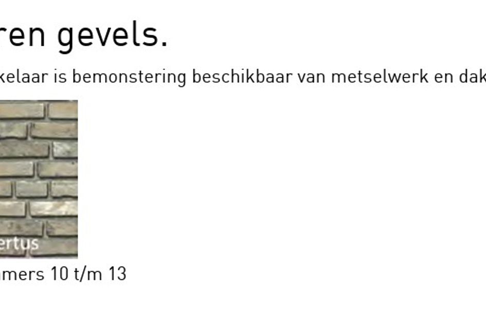 Waterrijck-10: 2^1-kap gezinswoning 