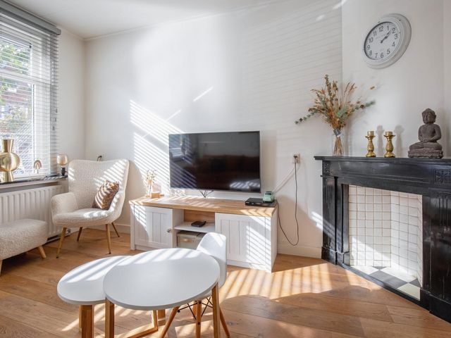 Schilderend 87, Den Burg