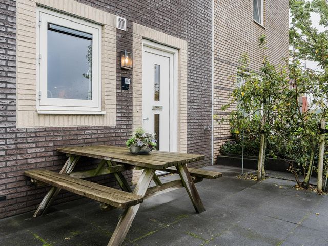 Citroenvlinder 119, Hoogeveen