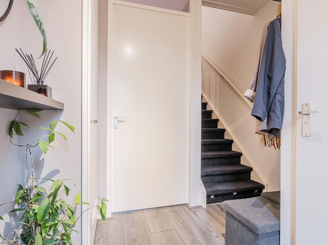 Citroenvlinder 119, Hoogeveen