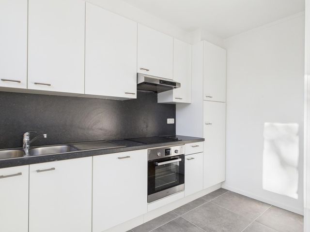 Rivierenpark 83, Terneuzen