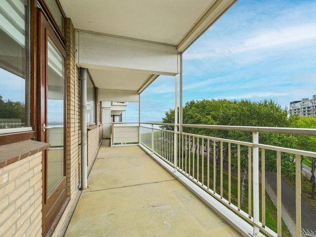 Churchilllaan 736, Terneuzen