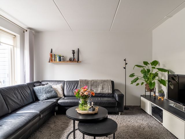 Bladriet 11, Werkendam