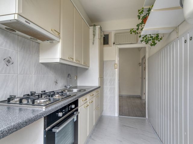 Roemer Visscherstraat 6A, Leiden