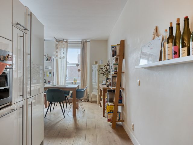 Lage Rijndijk 15D, Leiden