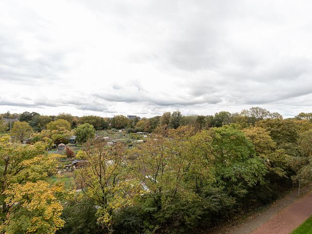 Sperwerstraat 37, Sliedrecht