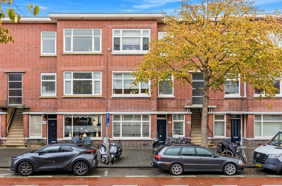 Driebergenstraat 228