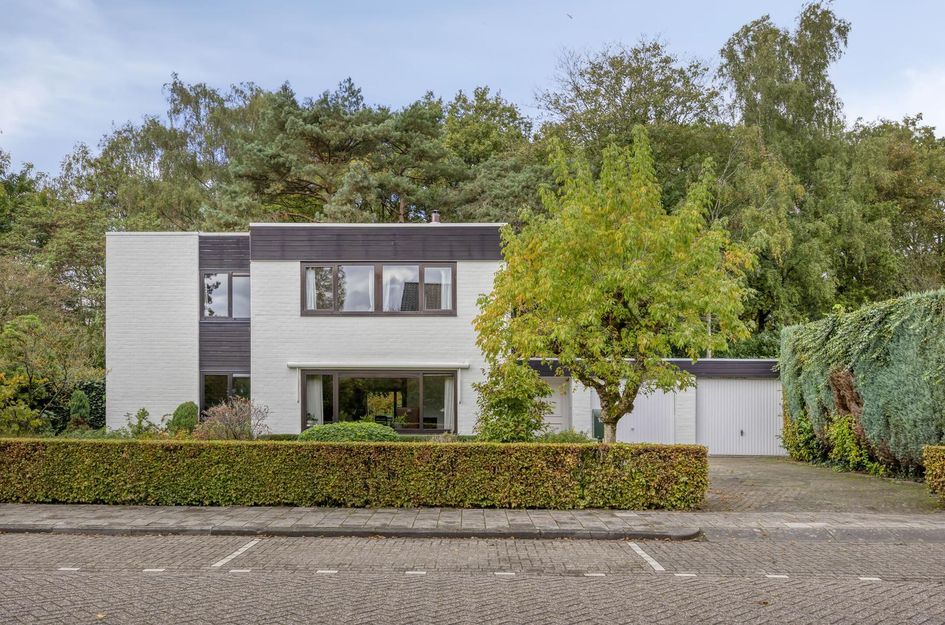 Marinus de Jongstraat 18