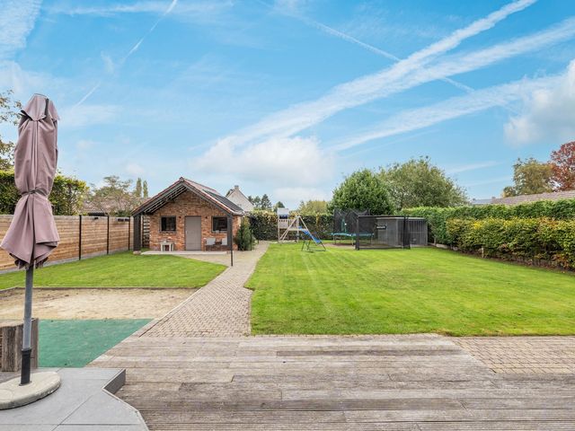 Wilgakker 3  , Ravels