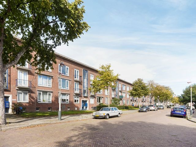 Roemer Visscherstraat 447, 's-Gravenhage