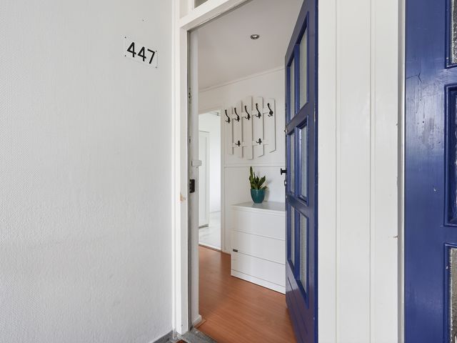 Roemer Visscherstraat 447, 's-Gravenhage