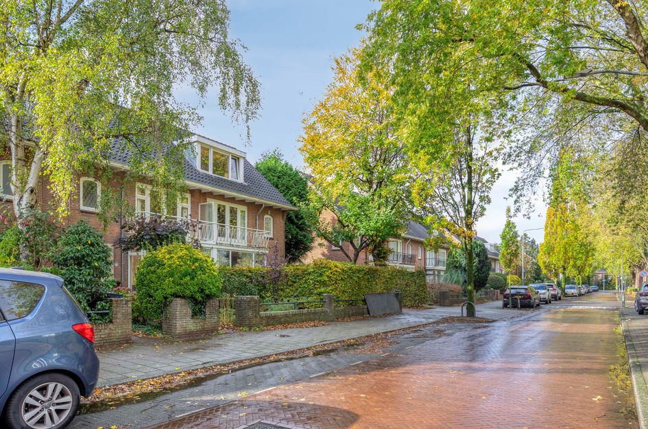 Johan Willem Frisolaan 35