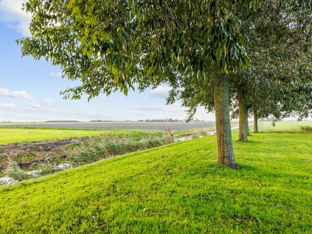 Bargereed 104, Tzummarum