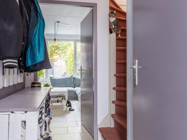 Steenakker 146, Druten