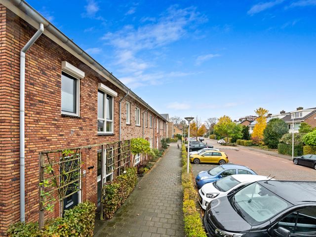 Hildegaarde 1a, Maasland