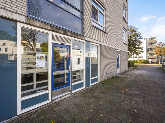 Buizerdlaan 127, Delft