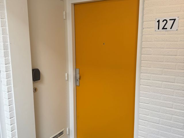 Buizerdlaan 127, Delft