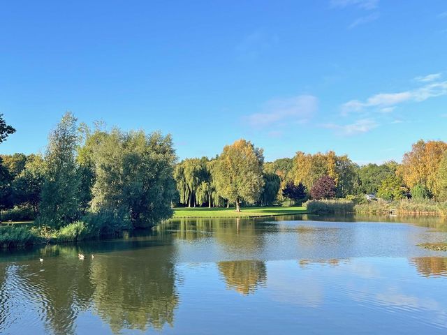 Buizerdstraat 8B, Rotterdam