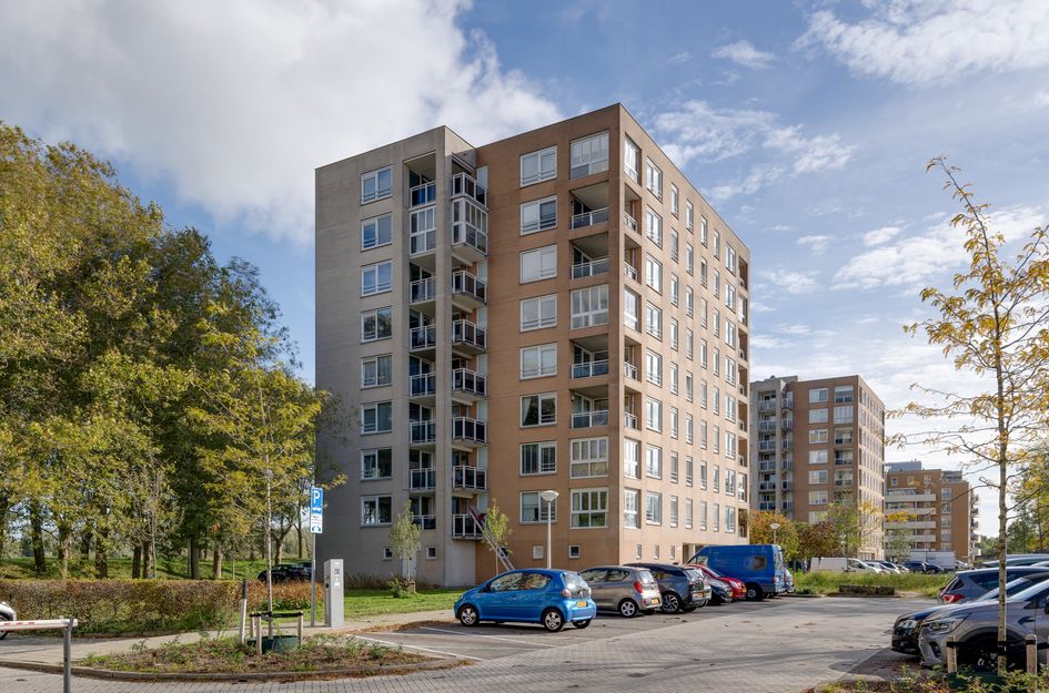 Hermelijnvlinder 147