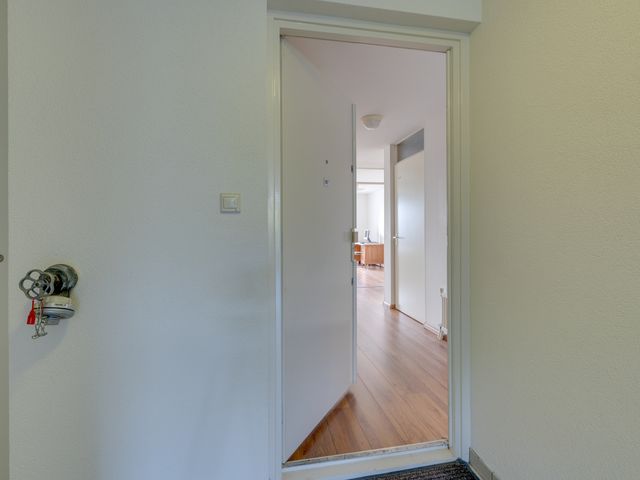 Hermelijnvlinder 147, Diemen