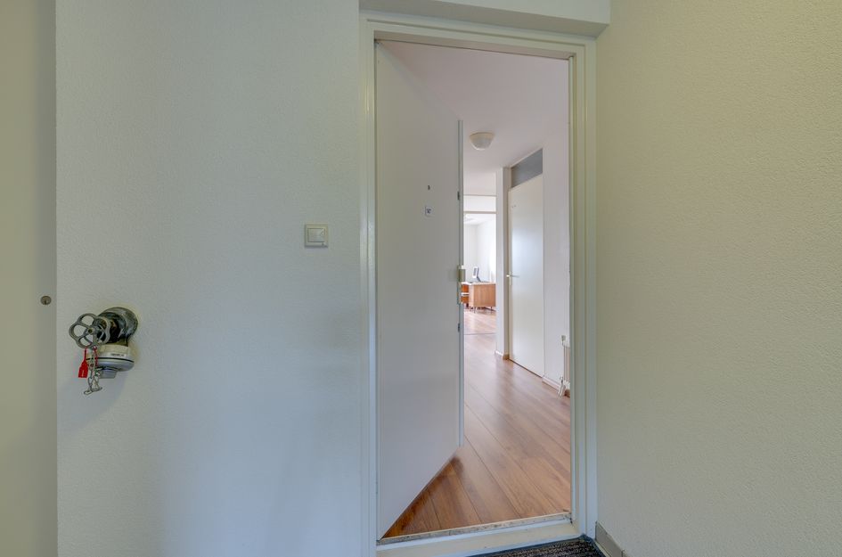 Hermelijnvlinder 147