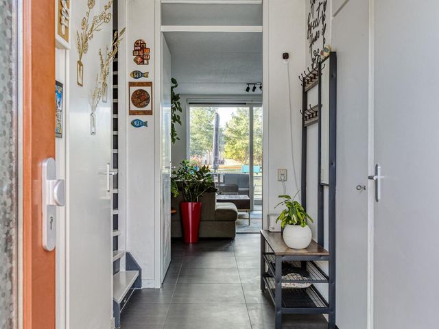 Arènpalmstraat 16, Amsterdam