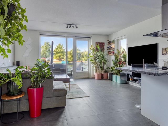 Arènpalmstraat 16, Amsterdam