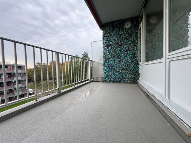 van Brakelstraat 77, Terneuzen