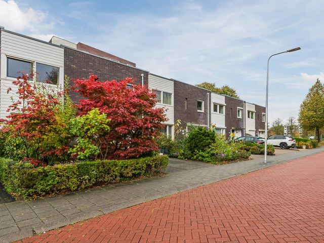 Wanningstraat 229, Zwolle