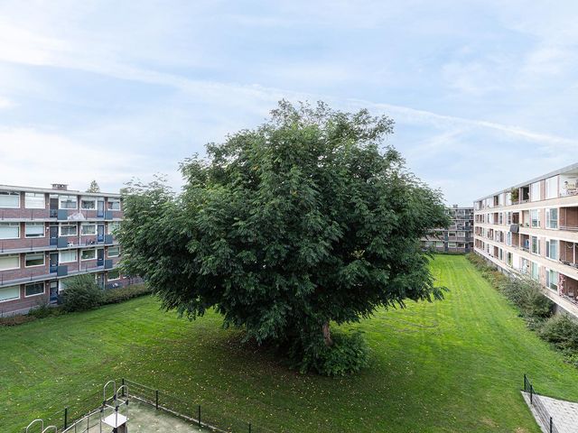 P.C. Hooftlaan 82, Papendrecht