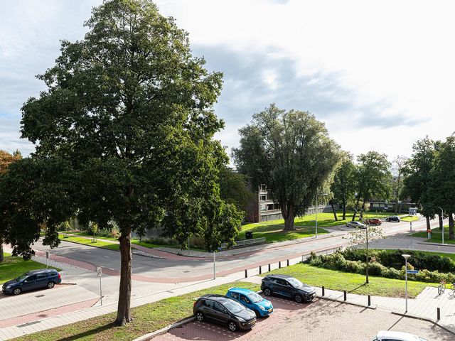 P.C. Hooftlaan 82, Papendrecht