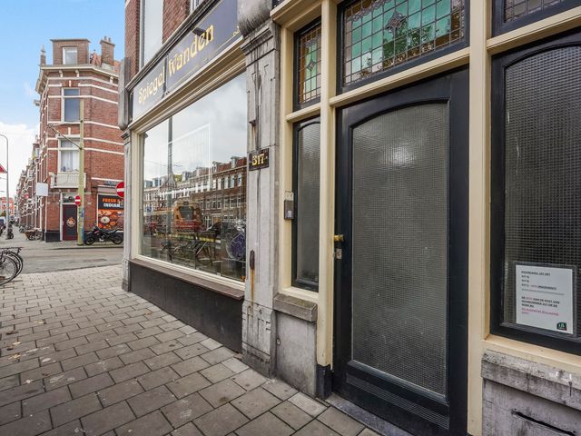 Regentesselaan 317B, 's-Gravenhage