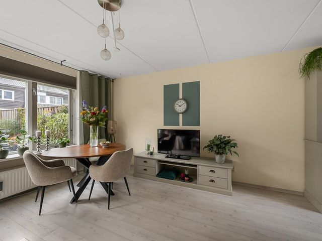 De Spin 38, Uitgeest