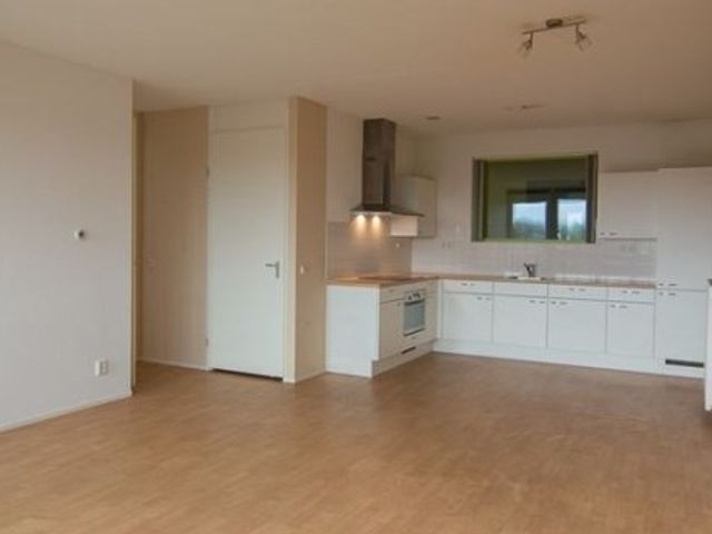 Rederijkershof ONG, Alkmaar