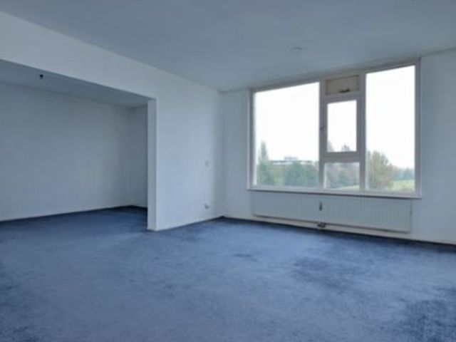 Pruimenlaan ONG, Amstelveen