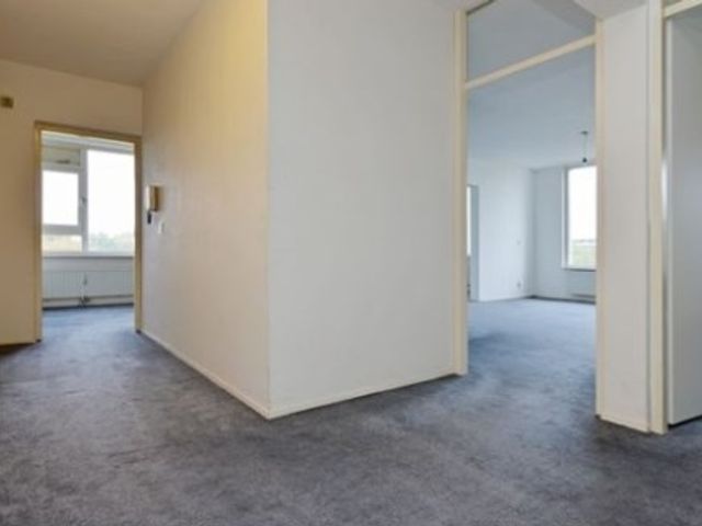 Pruimenlaan ONG, Amstelveen