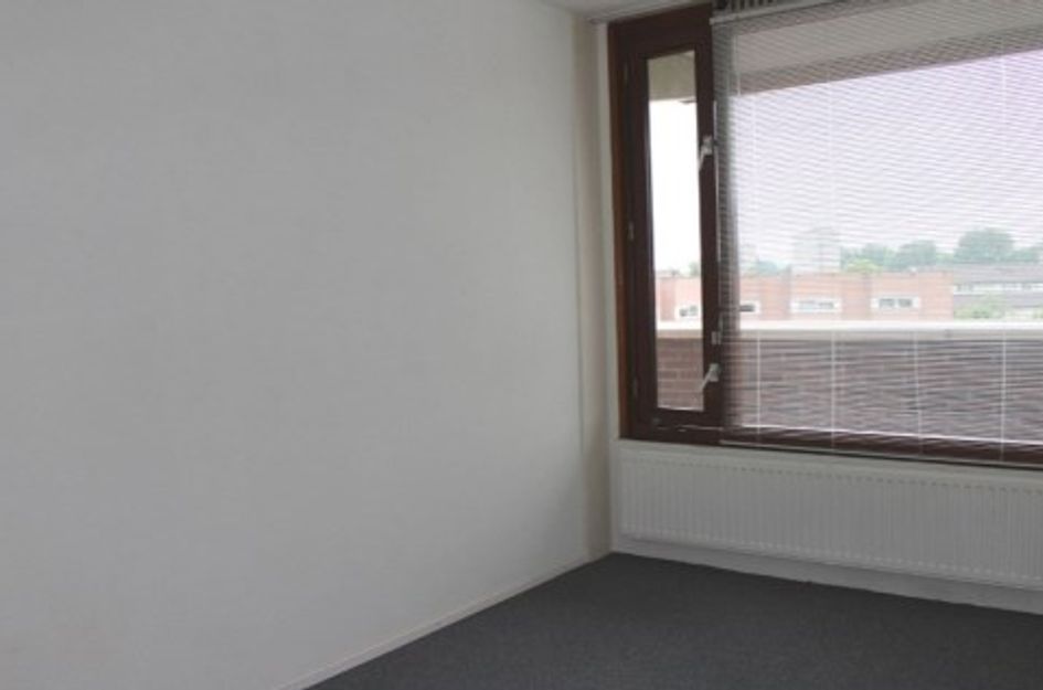 Pieter Calandlaan ONG