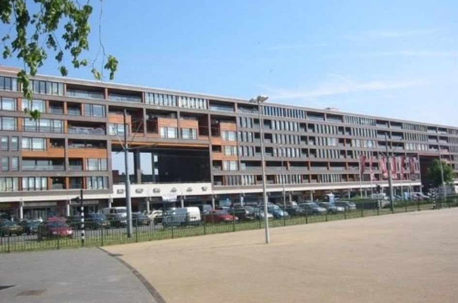 Pieter Calandlaan ONG