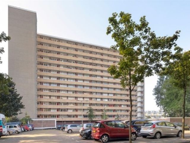 Langswater ONG, Amsterdam