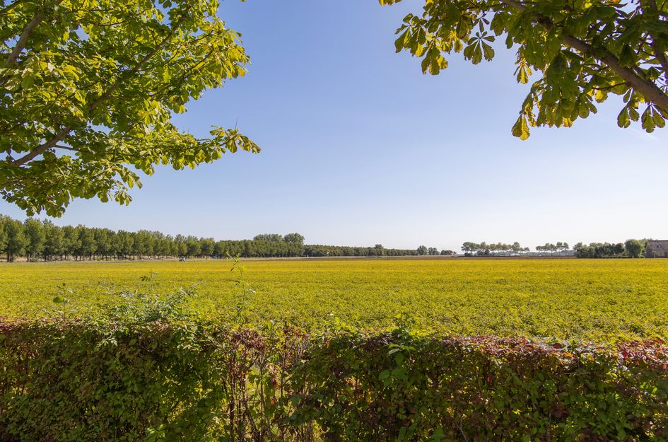 Koningspleisterplaats 214