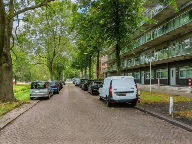 Hengelolaan 460, 'S-Gravenhage