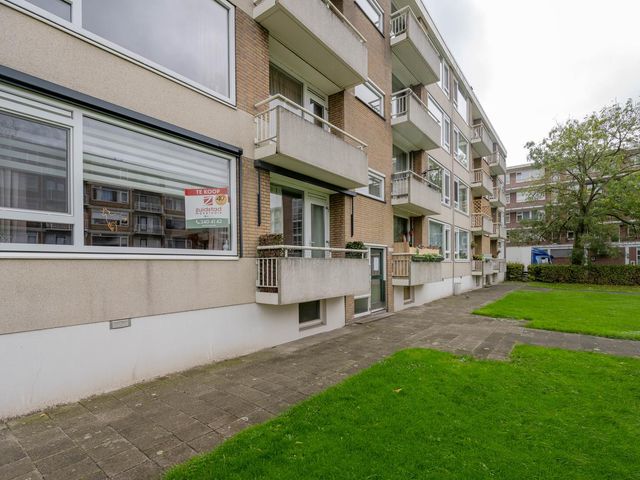 Heymansstraat 50, Rotterdam