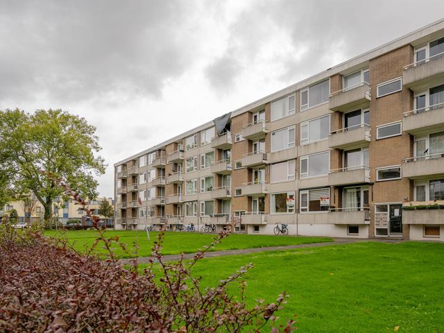 Heymansstraat 50, Rotterdam