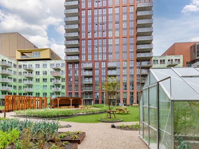 Mangoweg 331, Leiden