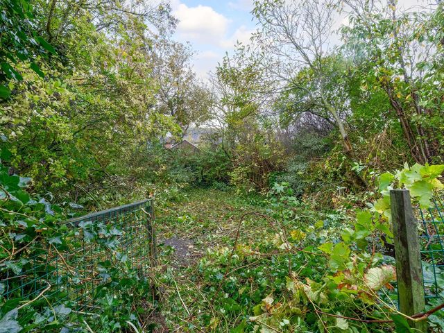 Wierbalg 1835, Julianadorp