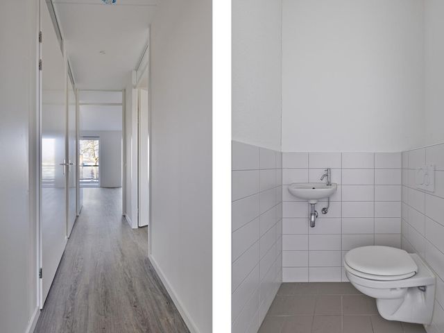 Bellamystraat 124, Terneuzen