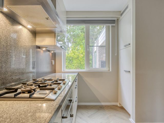 Heliotroopdijk 132, Roosendaal