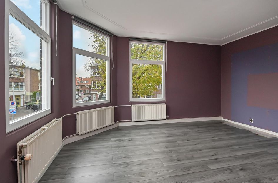 van de Wateringelaan 149