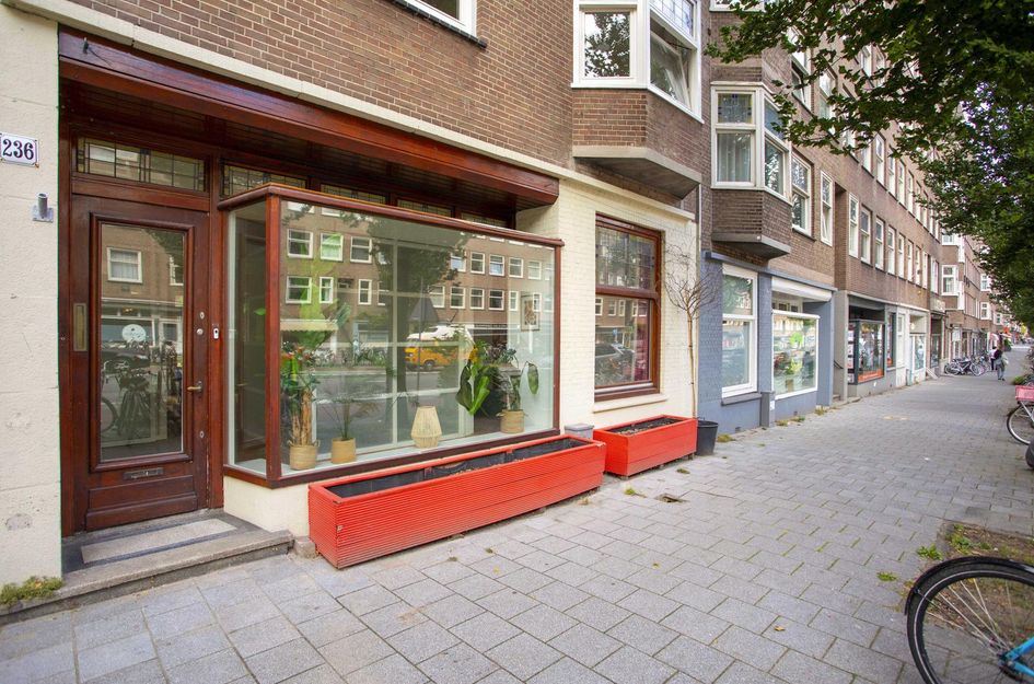 Rijnstraat 234